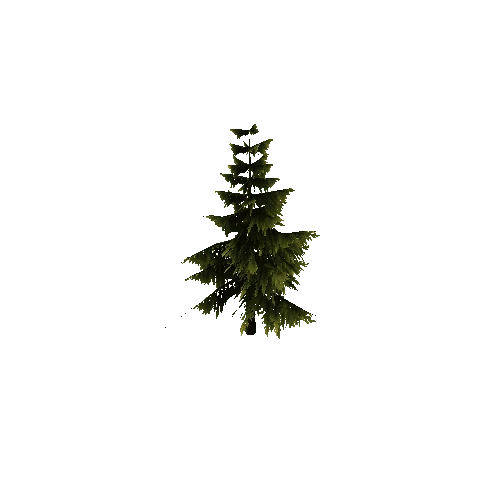 Pine_Tree_Green