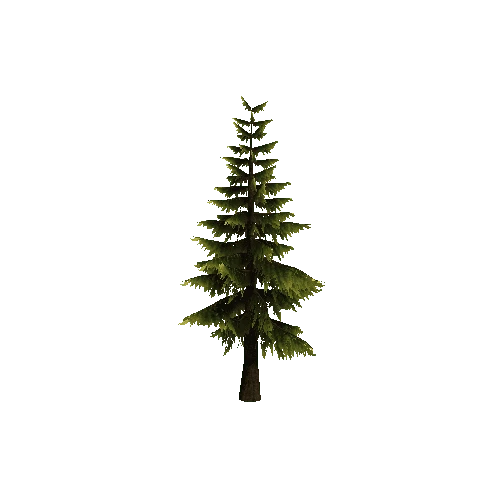 Pine_Tree_Green_Tall
