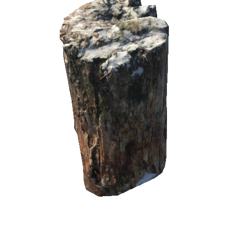 Forest_stump_4