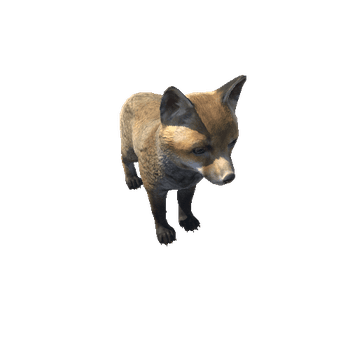 Fox_cub_HighPoly_RM