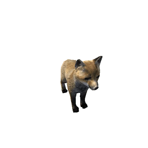 Fox_cub_LowPoly_IP