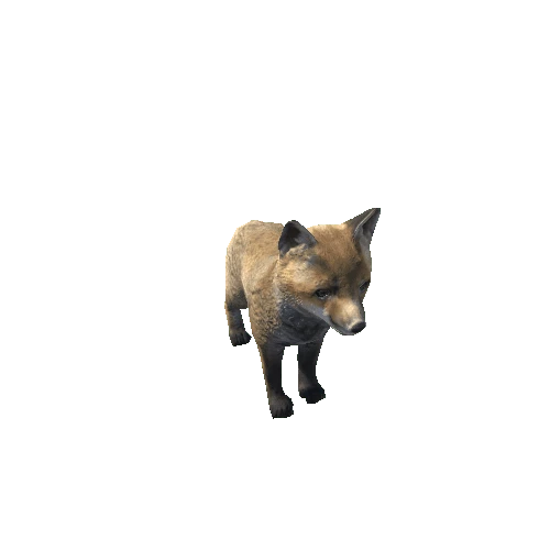 Fox_cub_LowPoly_IP