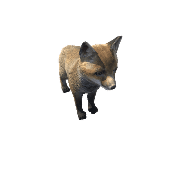 Fox_cub_LowPoly_RM