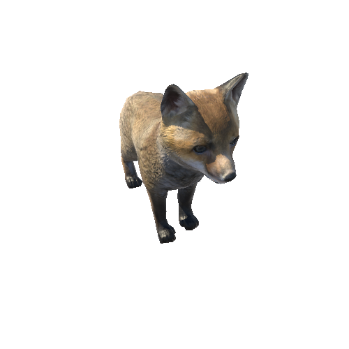 Fox_cub_LowPoly_IP