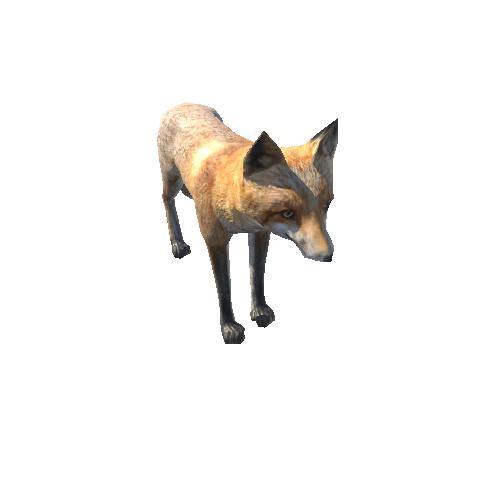 Fox_male_LowPoly_IP