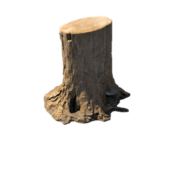 Stump_LOD0