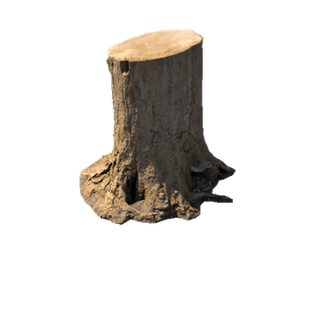 Stump_LOD3