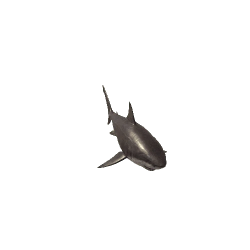 Megalodon_LOD1