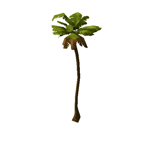 Palm_Tree_Tall_01_LOD