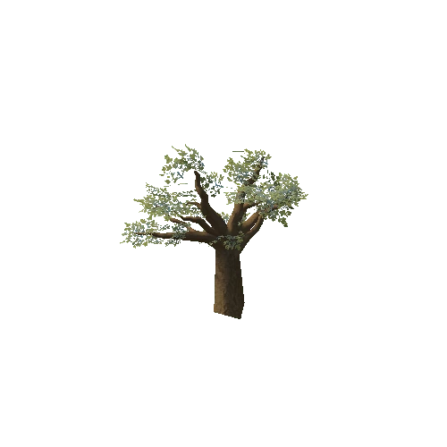Baobab_Tree_01_LOD1