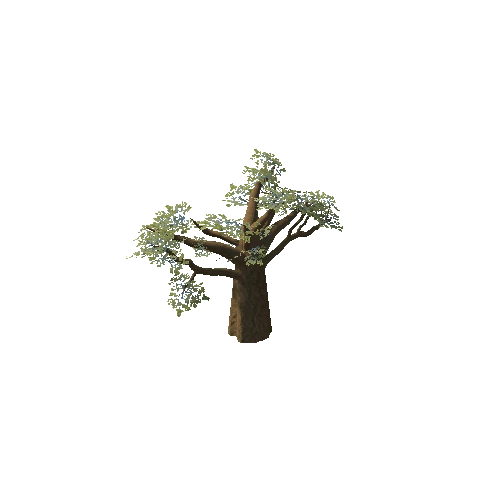 Baobab_Tree_03_LOD1