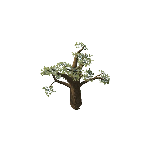 Baobab_Tree_04_LOD1