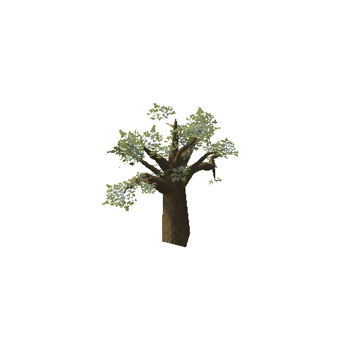 Baobab_Tree_05_LOD1