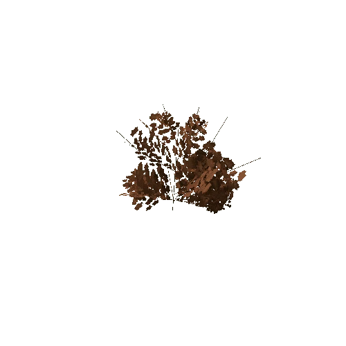 Bush_Small_Dry_V1