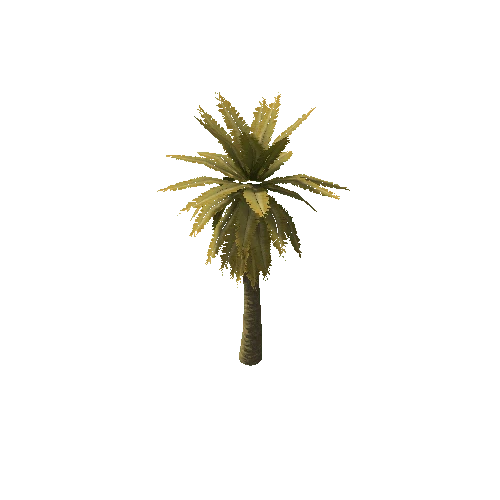 Date_Palm_Tree_V1_Dry