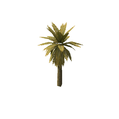 Date_Palm_Tree_V1_Dry_LOD1