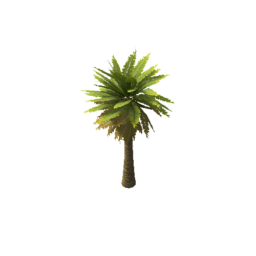 Date_Palm_Tree_V2_Dry