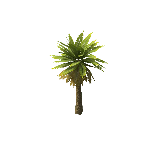 Date_Palm_Tree_V2_Dry_LOD1