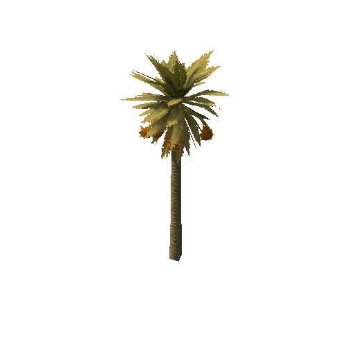 Date_Palm_Tree_V3_Dry_LOD1