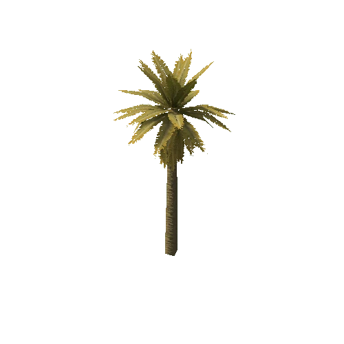 Date_Palm_Tree_V4_Dry_LOD1