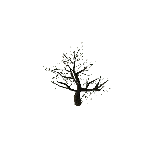 Dry_Barren_Tree_05_LOD1