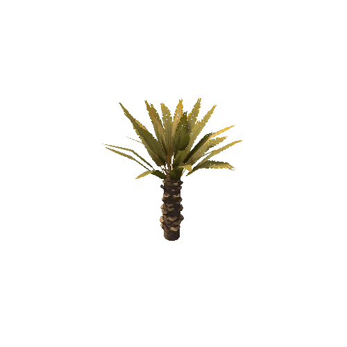 Palm_Small_V1_Dry