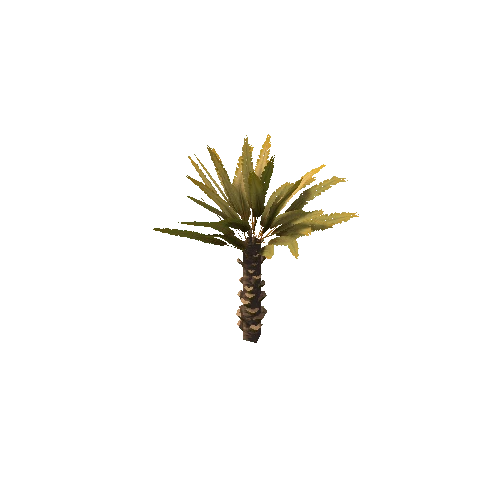 Palm_Small_V4_Dry_LOD1