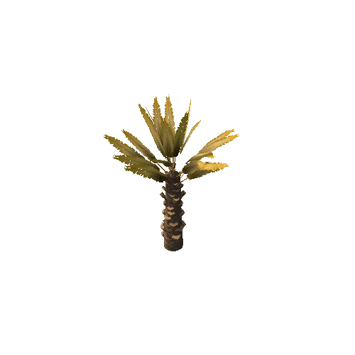 Palm_Small_V5_Dry
