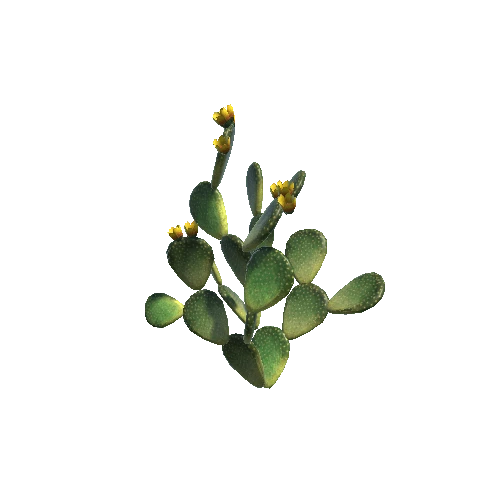 Prickly_Pear_V3