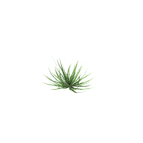 Short_Grass_Green_V2_LOD1