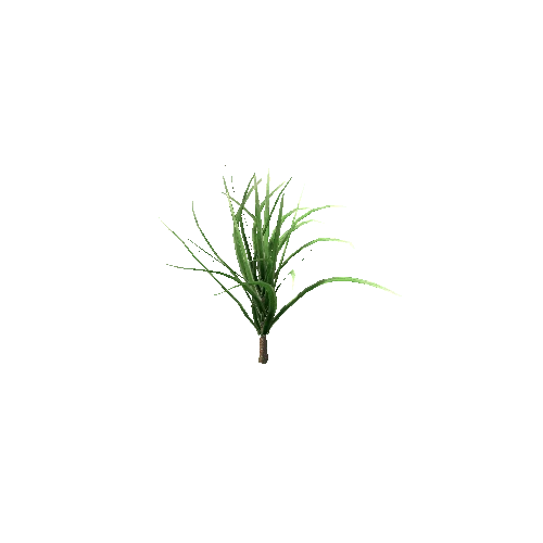 Spiky_Plant_V1_LOD1