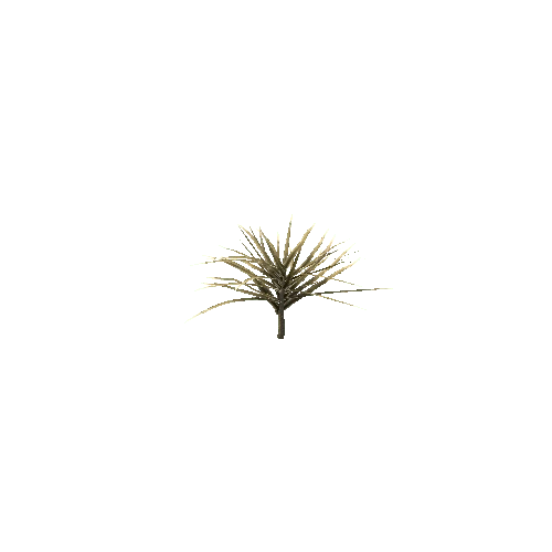 Spiky_Plant_V2