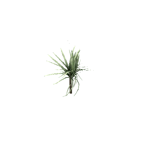 Spiky_Plant_V3_LOD1