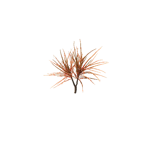 Spiky_Plant_V4