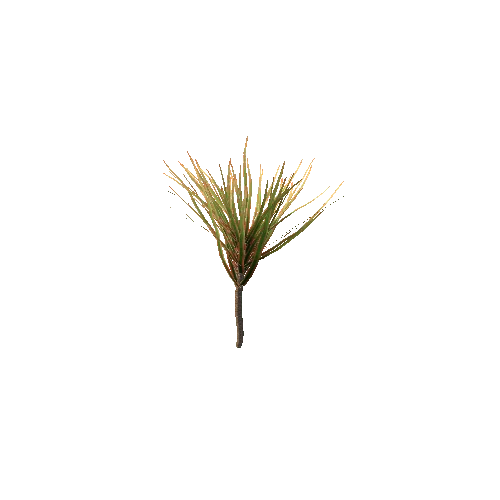 Spiky_Plant_V5