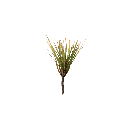 Spiky_Plant_V5_LOD1