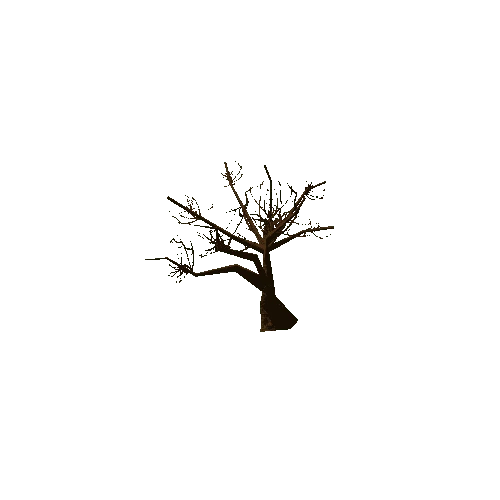 Thorn_Tree_Dry_02_LOD1
