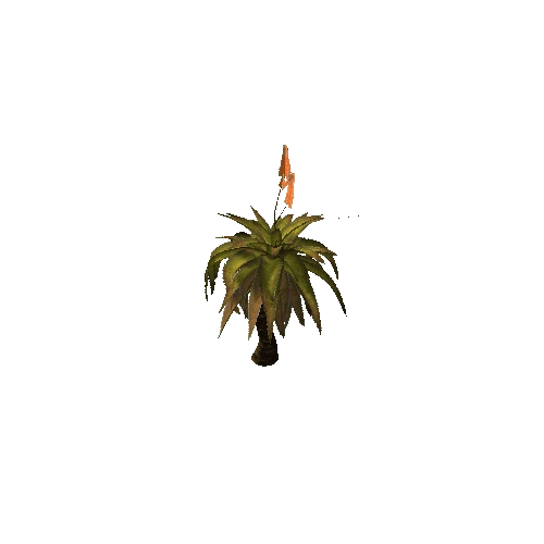 Aloe_Shrub_V4