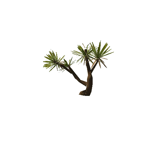 Aloe_Tree_Small_V1_LOD1