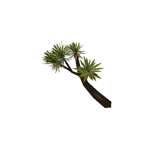 Aloe_Tree_Small_V2_LOD1