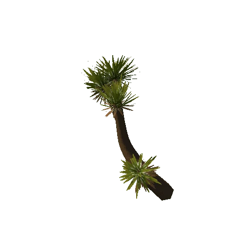 Aloe_Tree_Small_V3