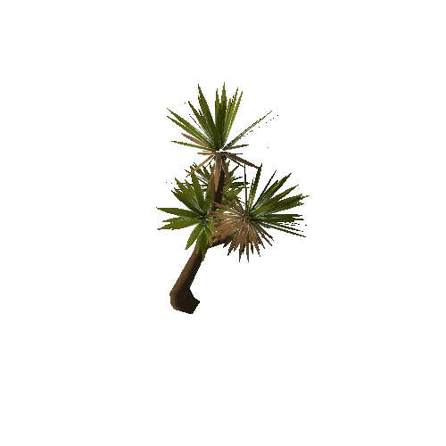 Aloe_Tree_Small_V4_LOD1