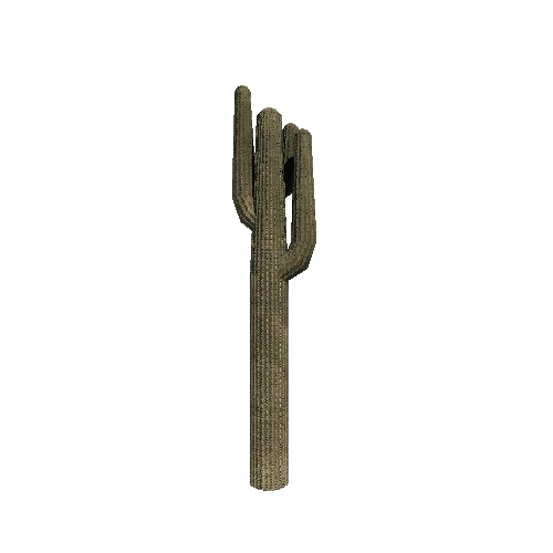Cactus_Tall_V2