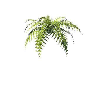 Plant_06