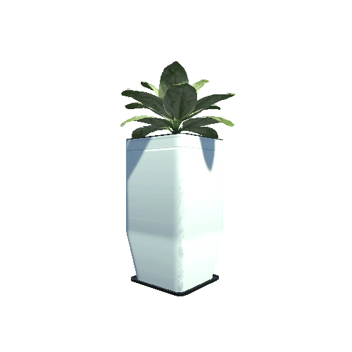 Plant_Big_01