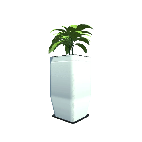 Plant_Big_03