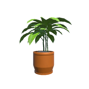 Plant_Small_03