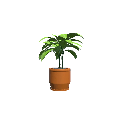 Plant_Small_03