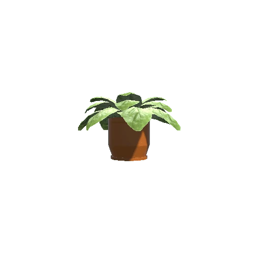 Plant_Small_04