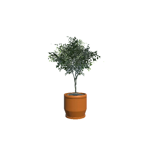 Plant_Small_05